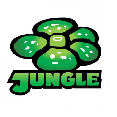 1999 06 16 Jungle